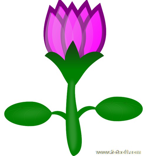 梦见从坑中往上爬,解梦梦见从坑中往上爬 梦见从坑中往上爬,解梦梦见从坑中往上爬