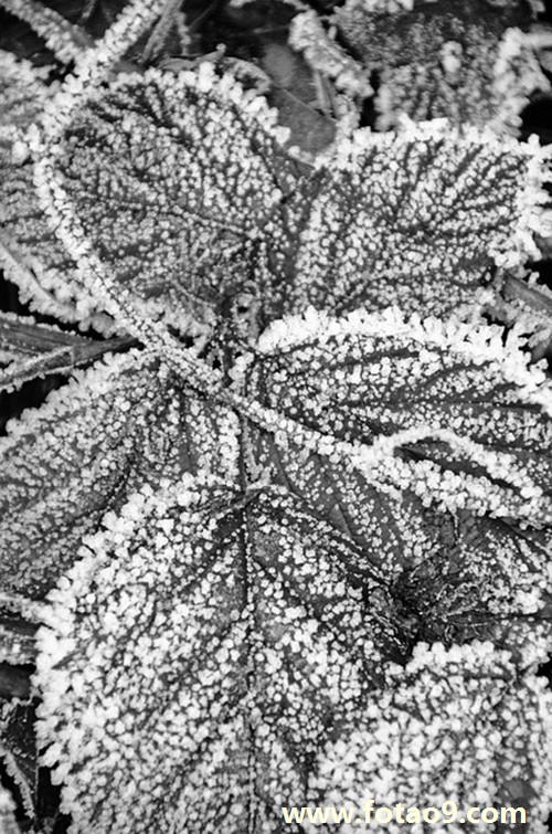 梦见凌晨四点多才睡觉,解梦梦见凌晨四点多才睡觉 梦见凌晨四点多才睡觉,解梦梦见凌晨四点多才睡觉