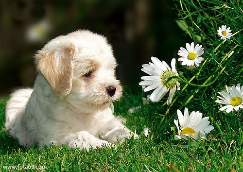 梦见婆婆手臂骨折,解梦梦见婆婆手臂骨折 梦见婆婆手臂骨折,解梦梦见婆婆手臂骨折