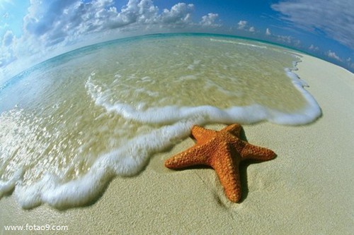 梦见前男友要杀我父母,解梦梦见前男友要杀我父母 梦见前男友要杀我父母,解梦梦见前男友要杀我父母