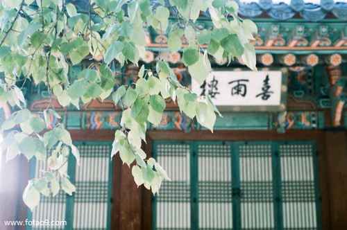 梦见房子被车撞裂,解梦梦见房子被车撞裂 梦见房子被车撞裂,解梦梦见房子被车撞裂