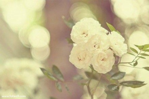 梦见用竹竿插鱼,解梦梦见用竹竿插鱼 梦见用竹竿插鱼,解梦梦见用竹竿插鱼