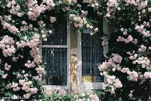 梦见跟老公一起睡觉不做爱,解梦梦见跟老公一起睡觉不做爱 梦见跟老公一起睡觉不做爱,解梦梦见跟老公一起睡觉不做爱