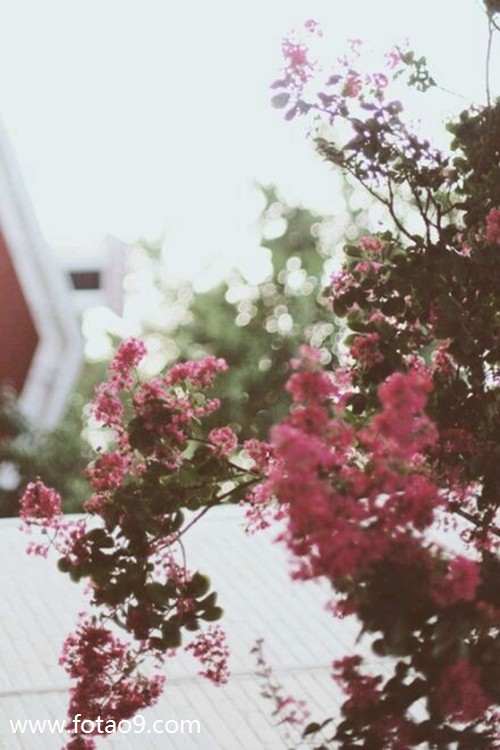 梦见被日本人追杀到处藏,解梦梦见被日本人追杀到处藏 梦见被日本人追杀到处藏,解梦梦见被日本人追杀到处藏