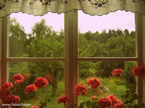 梦见跟陌生人同房,解梦梦见跟陌生人同房 梦见跟陌生人同房,解梦梦见跟陌生人同房
