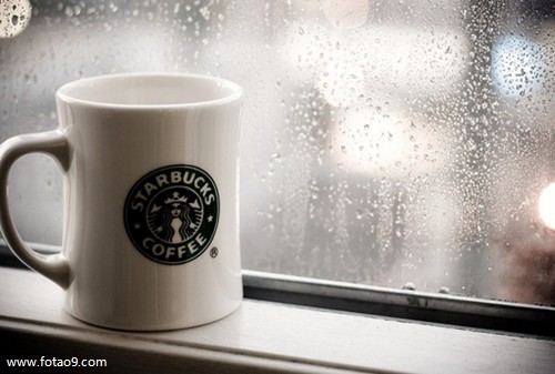 梦见自己掉了一个乳房,解梦梦见自己掉了一个乳房 梦见自己掉了一个乳房,解梦梦见自己掉了一个乳房