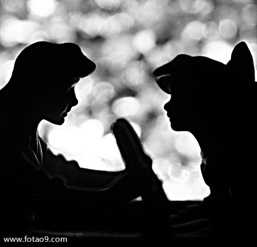 梦见一种植物一张一合,解梦梦见一种植物一张一合 梦见一种植物一张一合,解梦梦见一种植物一张一合