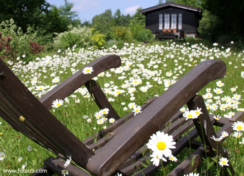 梦见有人从车里飞出去死,解梦梦见有人从车里飞出去死 梦见有人从车里飞出去死,解梦梦见有人从车里飞出去死