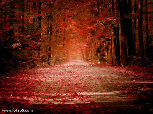 梦见小脚趾皮掉皮,解梦梦见小脚趾皮掉皮 梦见小脚趾皮掉皮,解梦梦见小脚趾皮掉皮