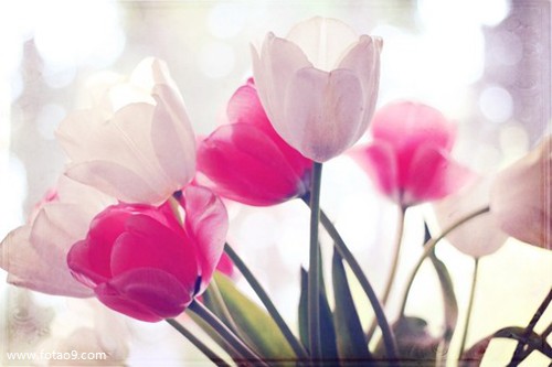 梦见帮妈妈忙,解梦梦见帮妈妈忙 梦见帮妈妈忙,解梦梦见帮妈妈忙