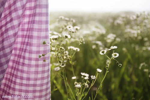 梦见宝宝门牙掉,解梦梦见宝宝门牙掉 梦见宝宝门牙掉,解梦梦见宝宝门牙掉