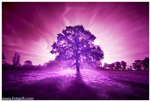 梦见嫁给一个高富帅,解梦梦见嫁给一个高富帅 梦见嫁给一个高富帅,解梦梦见嫁给一个高富帅