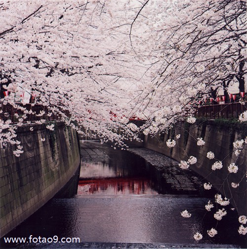 梦见下暴雨涨洪水坐着船,解梦梦见下暴雨涨洪水坐着船 梦见下暴雨涨洪水坐着船,解梦梦见下暴雨涨洪水坐着船