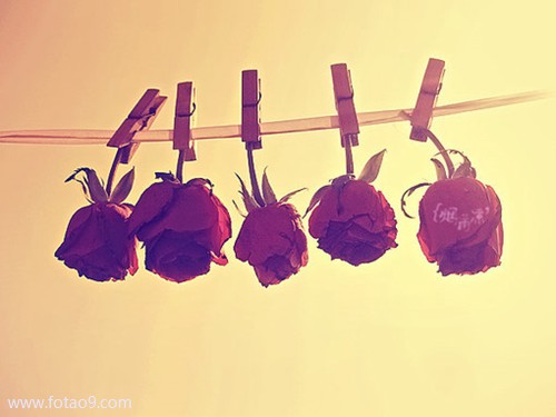 梦见卤熟肉,解梦梦见卤熟肉 梦见卤熟肉,解梦梦见卤熟肉