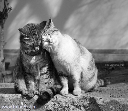 梦见一个男人的脸,解梦梦见一个男人的脸 梦见一个男人的脸,解梦梦见一个男人的脸