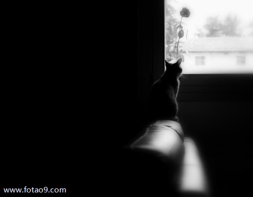 梦见已过世的男友,解梦梦见已过世的男友 梦见已过世的男友,解梦梦见已过世的男友