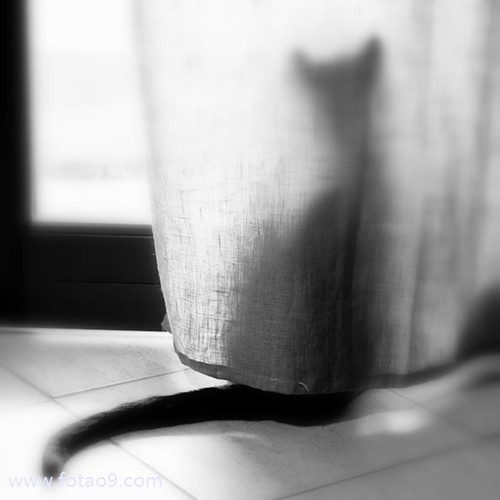 梦见与超市收银员大声争执,解梦梦见与超市收银员大声争执 梦见与超市收银员大声争执,解梦梦见与超市收银员大声争执