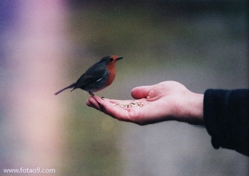 梦见一群人抬钱,解梦梦见一群人抬钱 梦见一群人抬钱,解梦梦见一群人抬钱