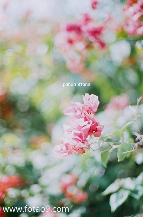 梦见肚皮上长瘤子,解梦梦见肚皮上长瘤子 梦见肚皮上长瘤子,解梦梦见肚皮上长瘤子