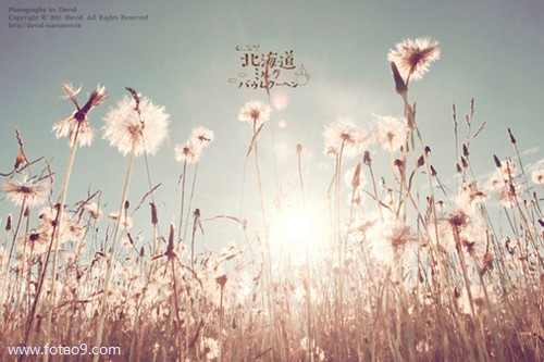 梦见和医生坐电梯下来,解梦梦见和医生坐电梯下来 梦见和医生坐电梯下来,解梦梦见和医生坐电梯下来