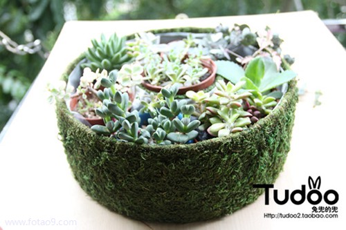 梦见床下有许多女人鞋,解梦梦见床下有许多女人鞋 梦见床下有许多女人鞋,解梦梦见床下有许多女人鞋