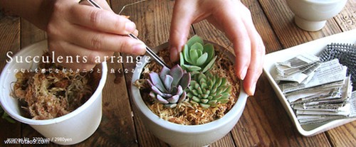 梦见一个星期内重复做同一个梦,解梦梦见一个星期内重复做同一个梦 梦见一个星期内重复做同一个梦,解梦梦见一个星期内重复做同一个梦