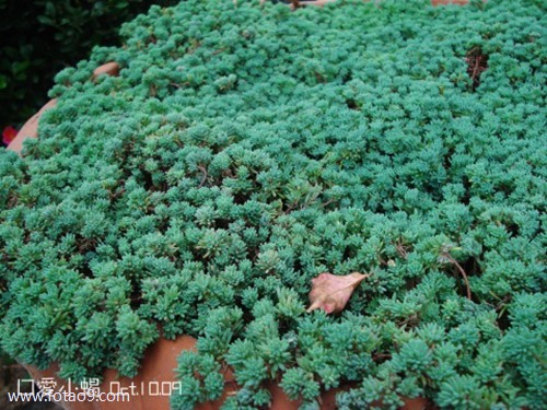 梦见在游乐场赛车,解梦梦见在游乐场赛车 梦见在游乐场赛车,解梦梦见在游乐场赛车