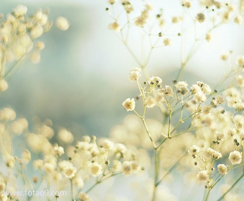 梦见金鱼变成美女,解梦梦见金鱼变成美女 梦见金鱼变成美女,解梦梦见金鱼变成美女
