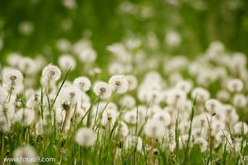 梦见自己和老公都出轨了,解梦梦见自己和老公都出轨了 梦见自己和老公都出轨了,解梦梦见自己和老公都出轨了