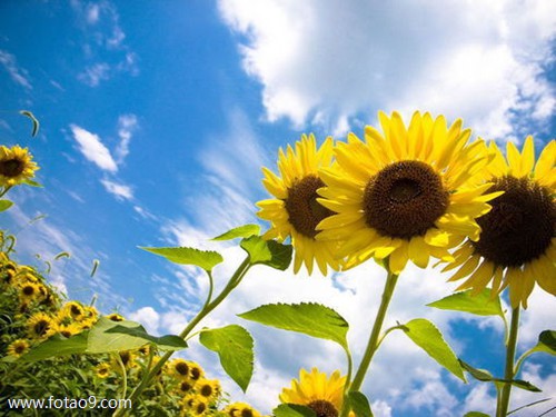 梦见牙诊所,解梦梦见牙诊所 梦见牙诊所,解梦梦见牙诊所