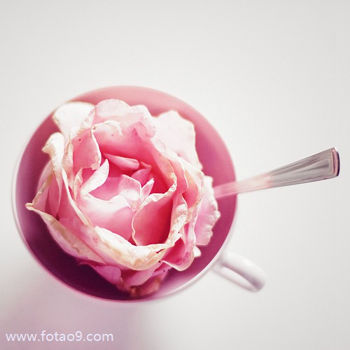 梦见手机被小孩抢,解梦梦见手机被小孩抢 梦见手机被小孩抢,解梦梦见手机被小孩抢