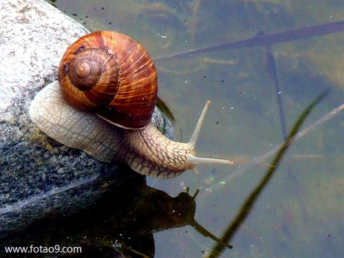 梦见和别人结婚新郎没来,解梦梦见和别人结婚新郎没来 梦见和别人结婚新郎没来,解梦梦见和别人结婚新郎没来