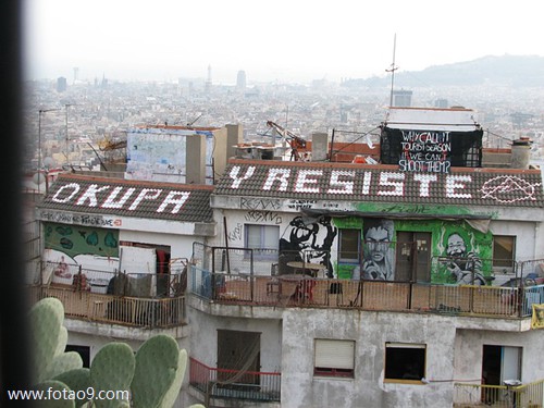 梦见救活病猫,解梦梦见救活病猫 梦见救活病猫,解梦梦见救活病猫