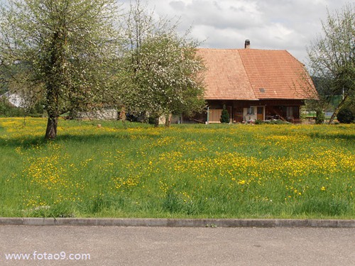梦见捡钱两次,解梦梦见捡钱两次 梦见捡钱两次,解梦梦见捡钱两次