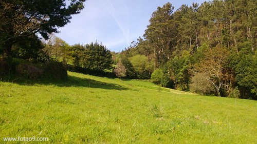 梦见巨大的黑红色鲤鱼,解梦梦见巨大的黑红色鲤鱼 梦见巨大的黑红色鲤鱼,解梦梦见巨大的黑红色鲤鱼