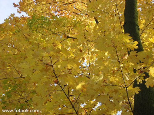 梦见坐在很多木材上,解梦梦见坐在很多木材上 梦见坐在很多木材上,解梦梦见坐在很多木材上