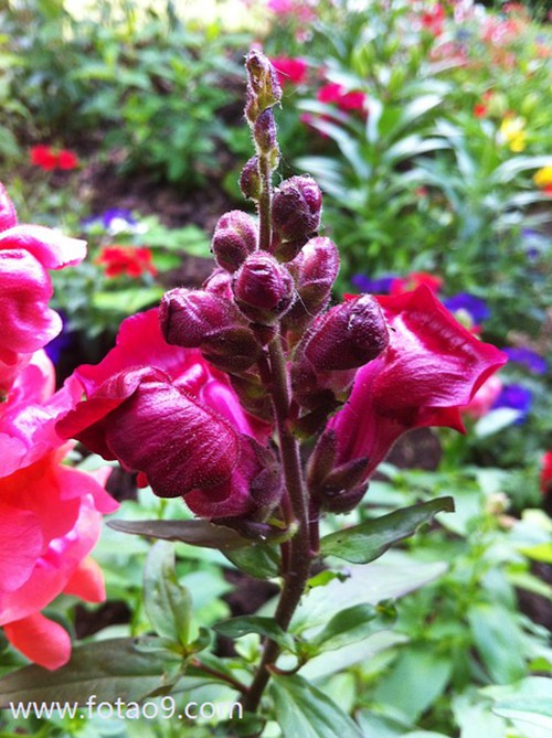 梦见奶奶骑车子摔倒,解梦梦见奶奶骑车子摔倒 梦见奶奶骑车子摔倒,解梦梦见奶奶骑车子摔倒