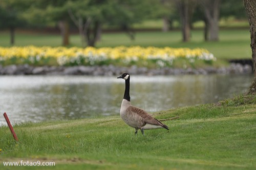 梦见死去的母亲被打,解梦梦见死去的母亲被打 梦见死去的母亲被打,解梦梦见死去的母亲被打
