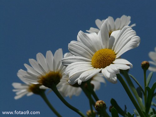 梦见当老师照看小男孩,解梦梦见当老师照看小男孩 梦见当老师照看小男孩,解梦梦见当老师照看小男孩