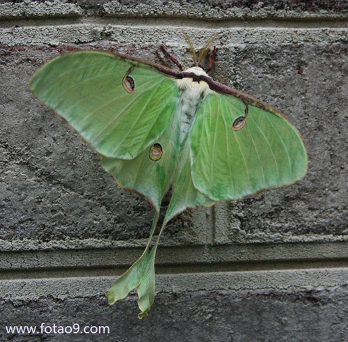 梦见妈妈掉进厕所里,解梦梦见妈妈掉进厕所里 梦见妈妈掉进厕所里,解梦梦见妈妈掉进厕所里