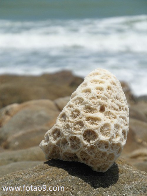 梦见骑摩托车摔的头破血流,解梦梦见骑摩托车摔的头破血流 梦见骑摩托车摔的头破血流,解梦梦见骑摩托车摔的头破血流