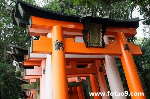 梦见自己掌纹上有裂口,解梦梦见自己掌纹上有裂口 梦见自己掌纹上有裂口,解梦梦见自己掌纹上有裂口