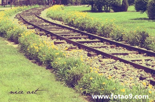 梦见大象咬死狮子,解梦梦见大象咬死狮子 梦见大象咬死狮子,解梦梦见大象咬死狮子