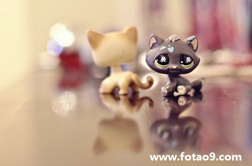 梦见门牙让蛀虫吃掉了,解梦梦见门牙让蛀虫吃掉了 梦见门牙让蛀虫吃掉了,解梦梦见门牙让蛀虫吃掉了