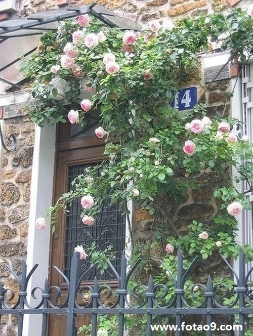 梦见有人说我活不过过年,解梦梦见有人说我活不过过年 梦见有人说我活不过过年,解梦梦见有人说我活不过过年