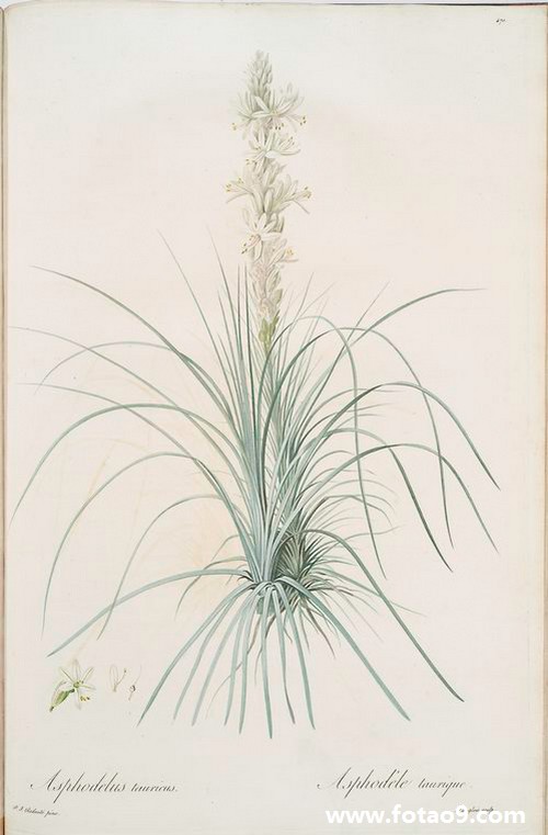 梦见和不太熟的人发生暧昧,解梦梦见和不太熟的人发生暧昧 梦见和不太熟的人发生暧昧,解梦梦见和不太熟的人发生暧昧