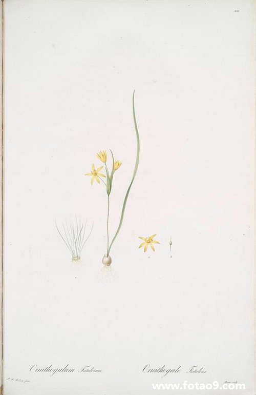 梦见偷钱美金,解梦梦见偷钱美金 梦见偷钱美金,解梦梦见偷钱美金