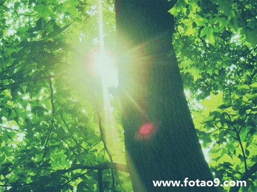 梦见钓到小鲤鱼,解梦梦见钓到小鲤鱼 梦见钓到小鲤鱼,解梦梦见钓到小鲤鱼