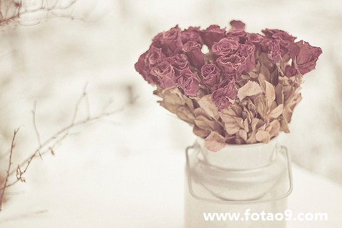 梦见白山羊舔自己,解梦梦见白山羊舔自己 梦见白山羊舔自己,解梦梦见白山羊舔自己