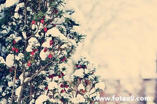 梦见亲人变得邋遢,解梦梦见亲人变得邋遢 梦见亲人变得邋遢,解梦梦见亲人变得邋遢